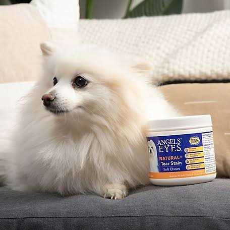 Natural Soft Chews for Dogs Q649909