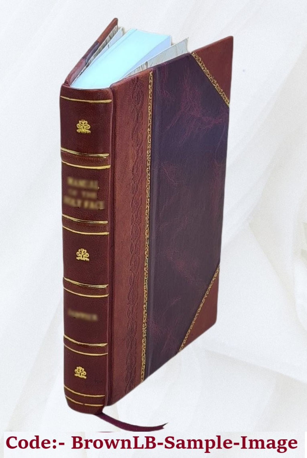 Leather Bound Book Y875