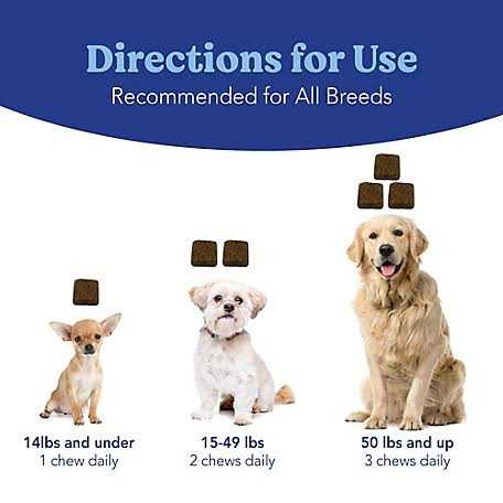 Natural Soft Chews for Dogs Q649909