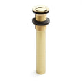 1-1/4x22 Pop-Up Drain Assembly Polished Brass I148