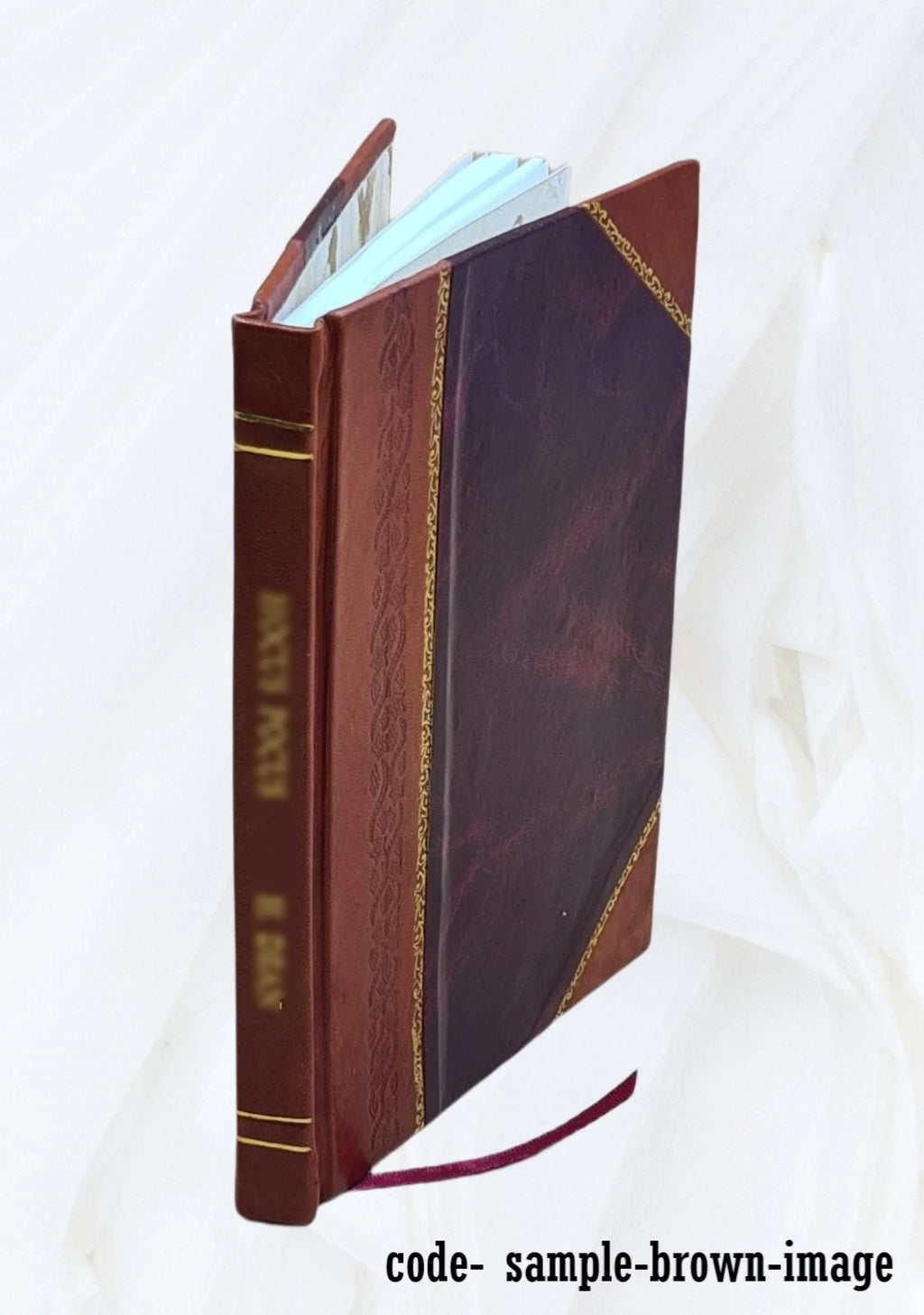 History of Ireland in the Nineteenth Century Leather Bound T341643