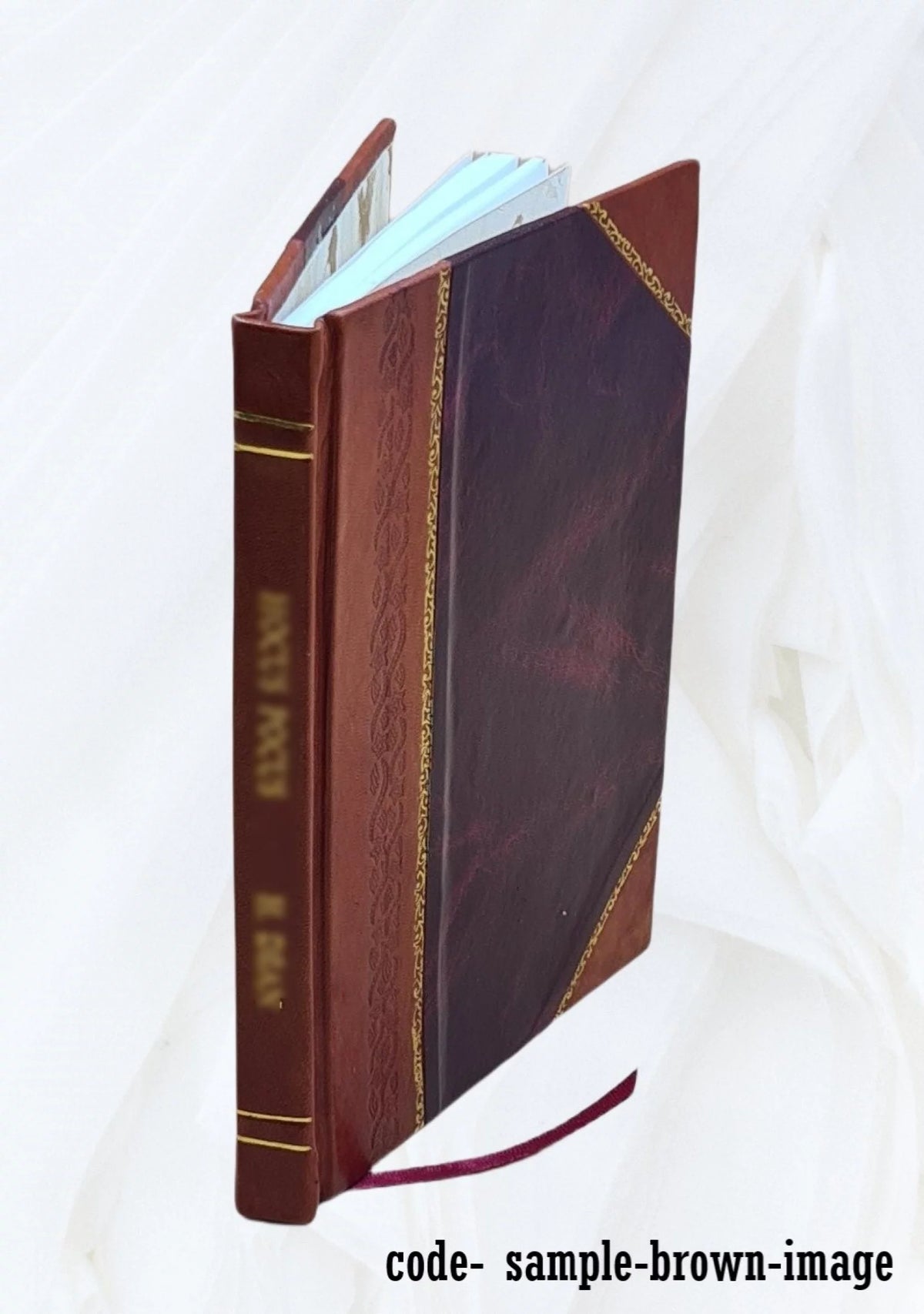 History of Ireland in the Nineteenth Century Leather Bound T341643