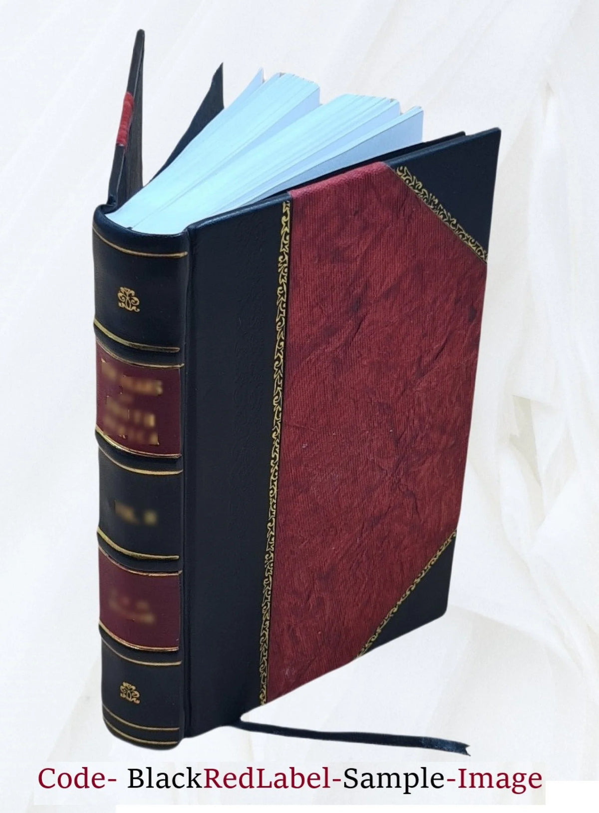 Leather Bound Book Y875